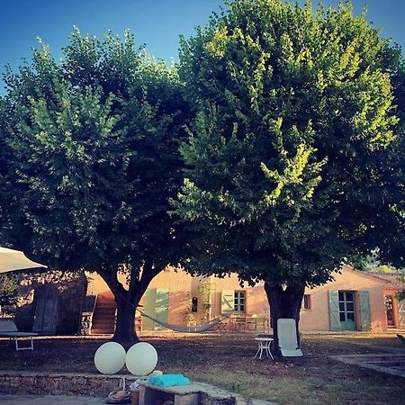 Bastide Provencale De Charme A La Cote D'Azur Villa Калиан Екстериор снимка