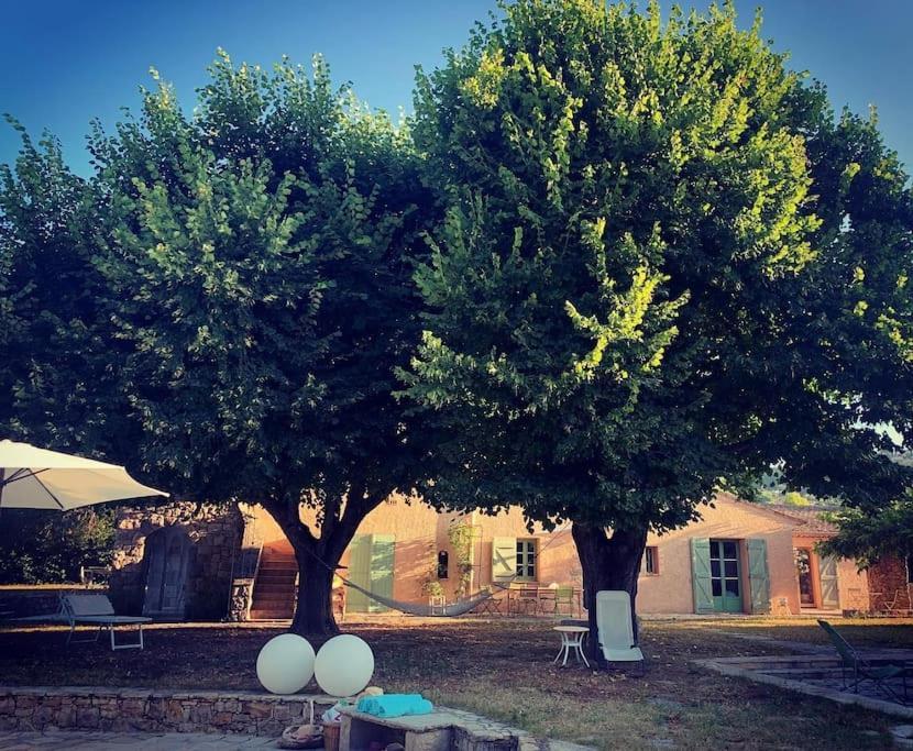 Bastide Provencale De Charme A La Cote D'Azur Villa Калиан Екстериор снимка